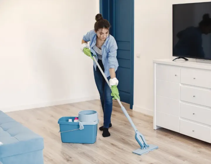 Femme de ménage Villepail